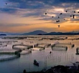 淮安伴游中国网景点丰富(旅游网介绍)