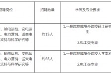 淮安重庆有雇用伴游外围吗(高端外围伴游雇用一单一结)