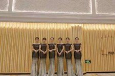 淮安杭州模特礼节兼职群(杭州兼职商务模特经纪人微信)