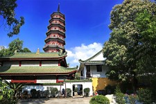 淮安广州自由行(广州 自由行)