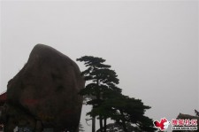 淮安上海伴游私家陪游雇用女模(上海伴游私家陪游雇用女模特)