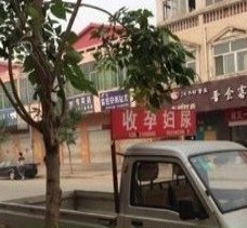 淮安上海伴游 用伴游造句大全(5