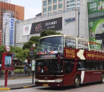 淮安上海私人伴游 上海过年怎么玩？这些“微游”线路了解下→