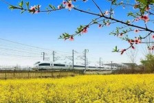 淮安高铁游(高铁游戏下载手机版)