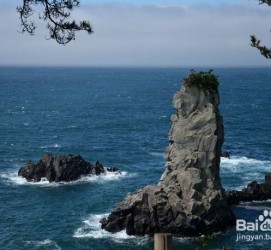 淮安旅游全攻略(上海旅游全攻略)