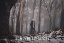 淮安上海私人伴游 上海伴游，上海兼职伴游安全吗