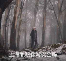 淮安上海私人伴游 上海伴游，上海兼职伴游安全吗