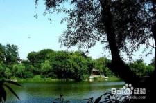 淮安西湖旅游攻略(上海到杭州西湖旅游攻略)