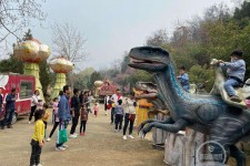 淮安中国伴游带你打卡网红南山竹海(南山竹海网上预约)