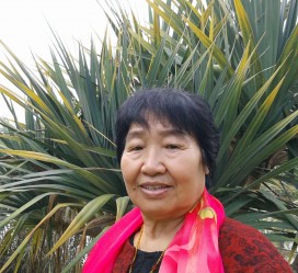 淮安白叟带老伴游半个中国(白叟外出旅游)
