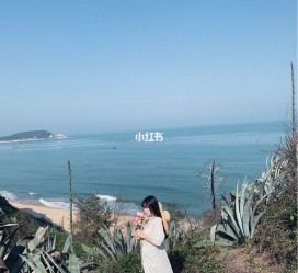淮安厦门周边游(厦门及周边旅游攻略)