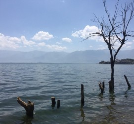 淮安洱海旅游攻略(洱海旅游攻略自由行)