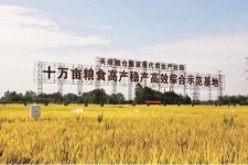 淮安关于成都商务伴游外围雇用的信息