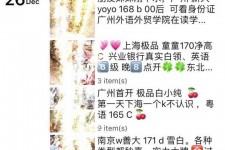 淮安外围伴游雇用圈套(雇用伴游什么样子的是实的)