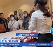 淮安上海私人伴游 看·法｜100元游上海？！“旅社”涉嫌诈骗被一窝端