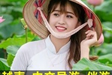 淮安日本关东伴游中国(日本关西旅行)