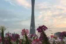 淮安广州旅游攻略(杭州到广州旅游攻略)