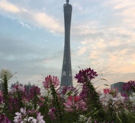 淮安广州旅游攻略(杭州到广州旅游攻略)