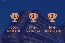 淮安上海私人伴游 ​ “小而美”的新时代：2020年国内新跟团消费报告