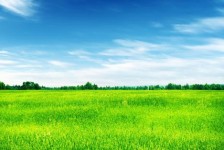 淮安上海伴游 上海模特伴游微信号的交友宣言