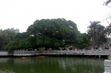 淮安福州旅游攻略(福州旅游攻略二日游)