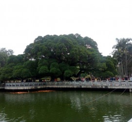淮安福州旅游攻略(福州旅游攻略二日游)