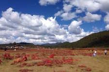 淮安旅游去处(暑期最好的旅游去处)