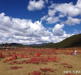 淮安旅游去处(暑期最好的旅游去处)