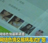 淮安上海伴游 伴游女郎白天陪玩晚上陪睡 网络跑火日薪过万(图)