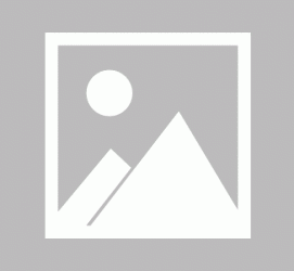 淮安私人伴游 黄金周里动“黄”经 天津又现“私人陪游”逆流