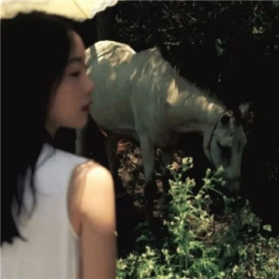 淮安私家伴游让你拥有一次完美的旅游体验